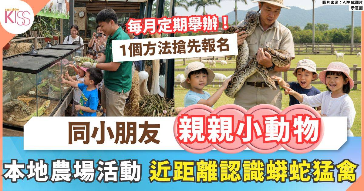 嘉道理農場「動物全接觸」近距離認識蟒蛇猛禽蜥蜴