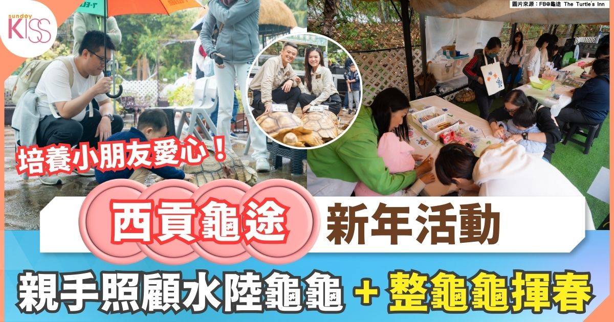 西貢龜途社區教育基地｜2小時零距離睇龜龜+龜龜揮春工作坊