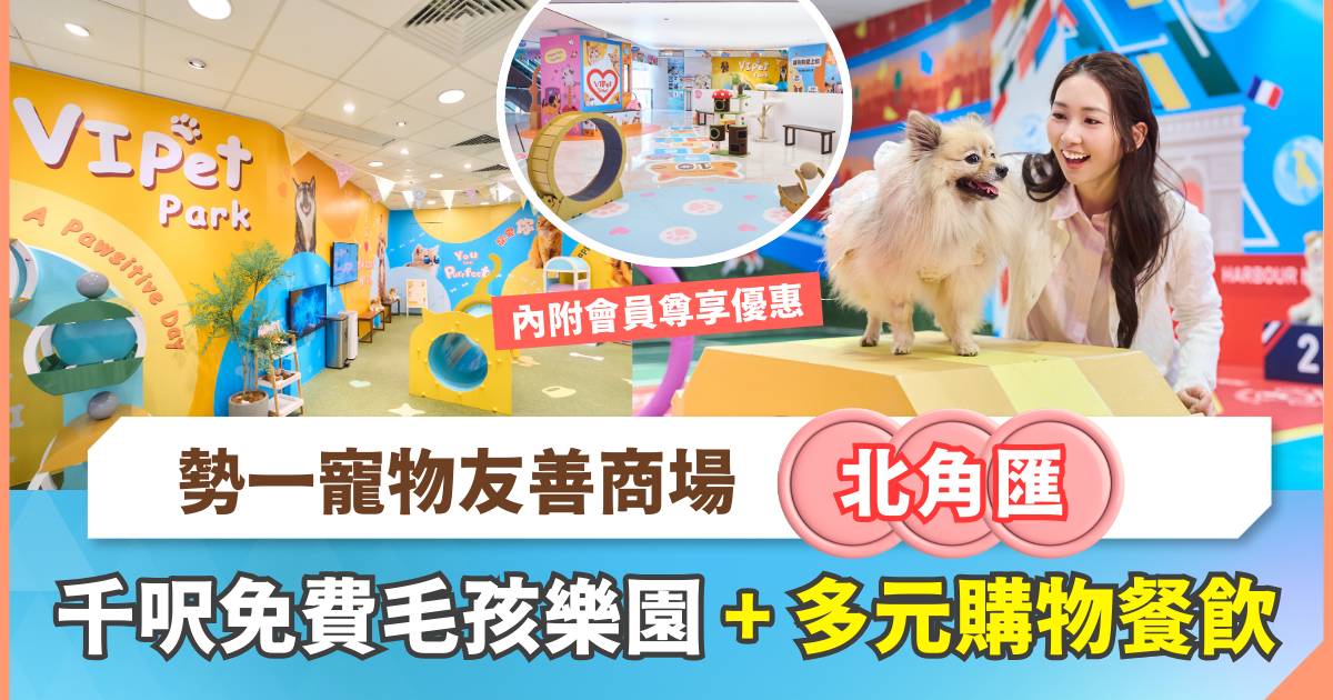 勢一寵物友善商場：北角匯！千呎毛孩樂園免費放電 打造人寵共融一日遊熱點