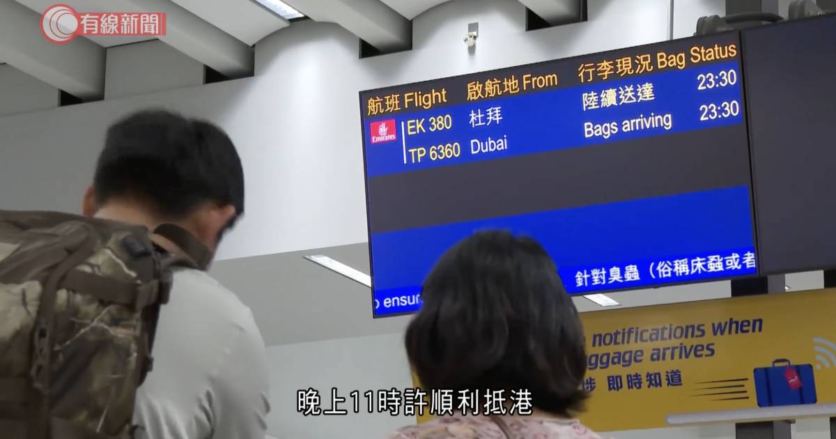 小學遊學團 迪拜航班