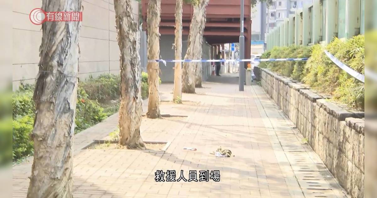 元朗兩孩爸餐廳老闆持30厘米刀傷妻焚宅後墮樓 事主家庭背景及細節曝光