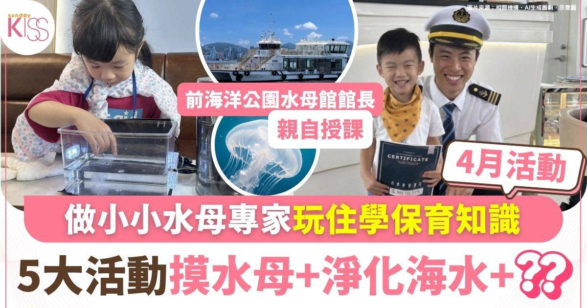 小小水母專家海上學堂啟航 5大必玩 0距摸水母＋淨化海水