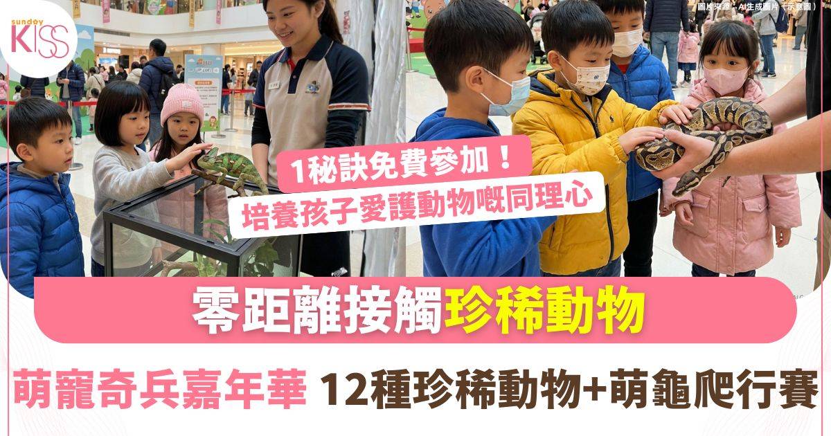 萌寵奇兵嘉年華｜始創中心12種珍稀動物展覽 親子零距離接觸球蟒變色龍