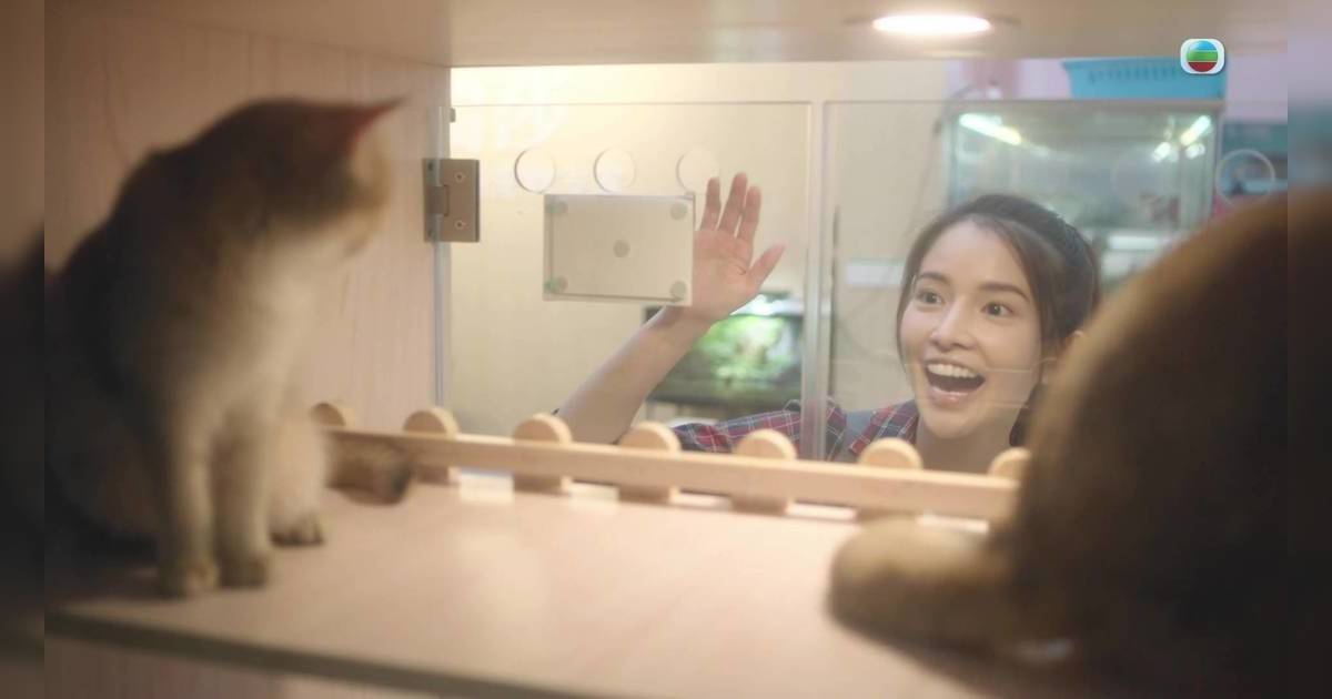 正義女神｜陳若思演活虐貓少女！魔性傻笑獲封「李心潔2.0」嚇窒網民