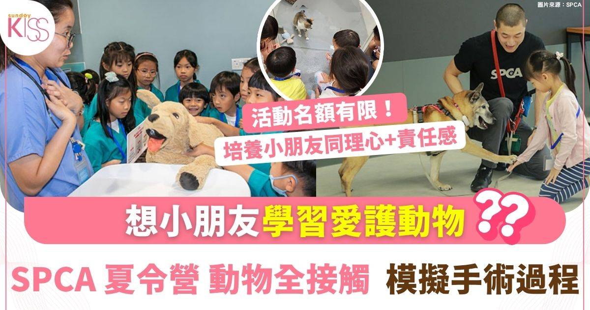 SPCA夏令營動物全接觸　沉浸式體驗培養孩子愛心與責任感