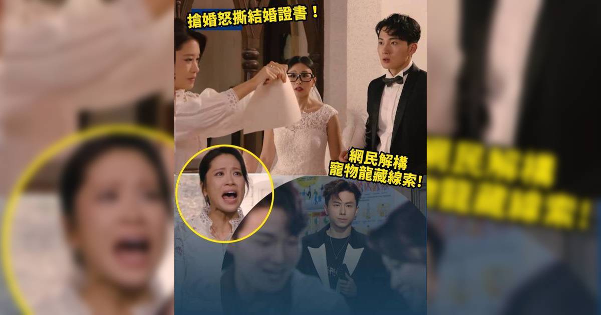 愛回家｜Bonnie阻金城安娶李莫仇 「安Bon」戀鋪路復合 網民集氣