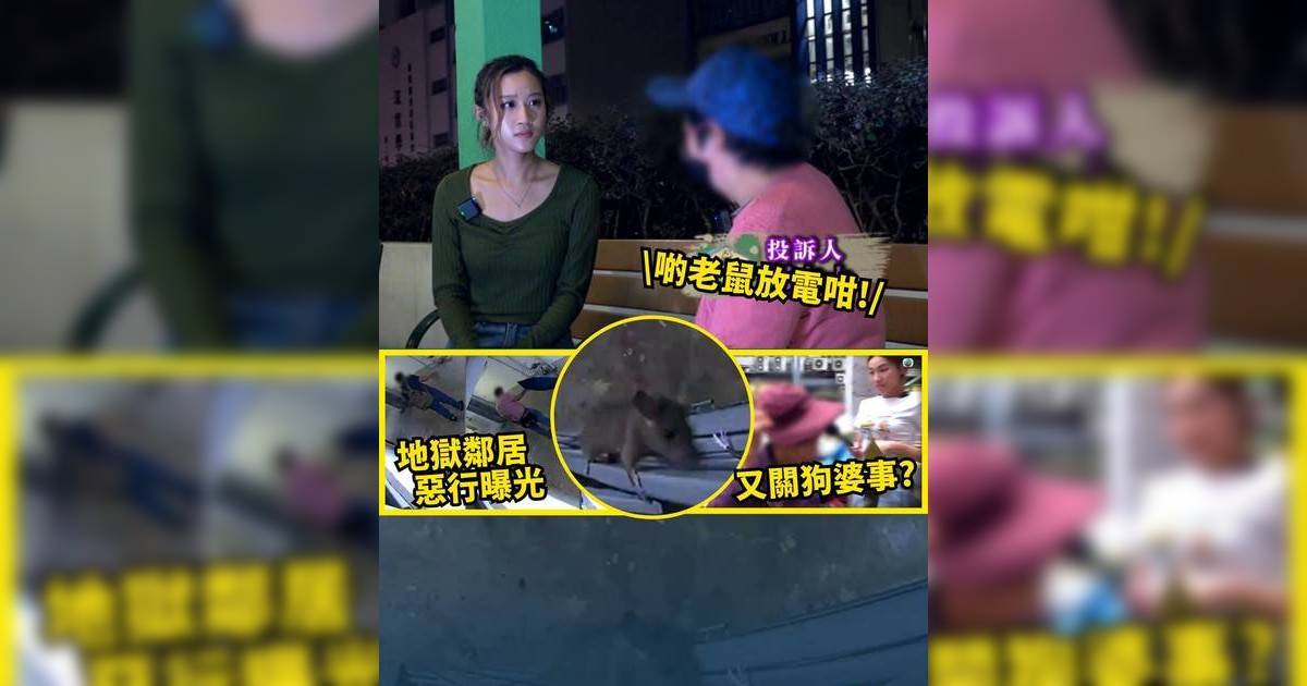 東張西望｜公屋走廊淪陷變老鼠樂園 一家五口恐怖行為令街坊崩潰!