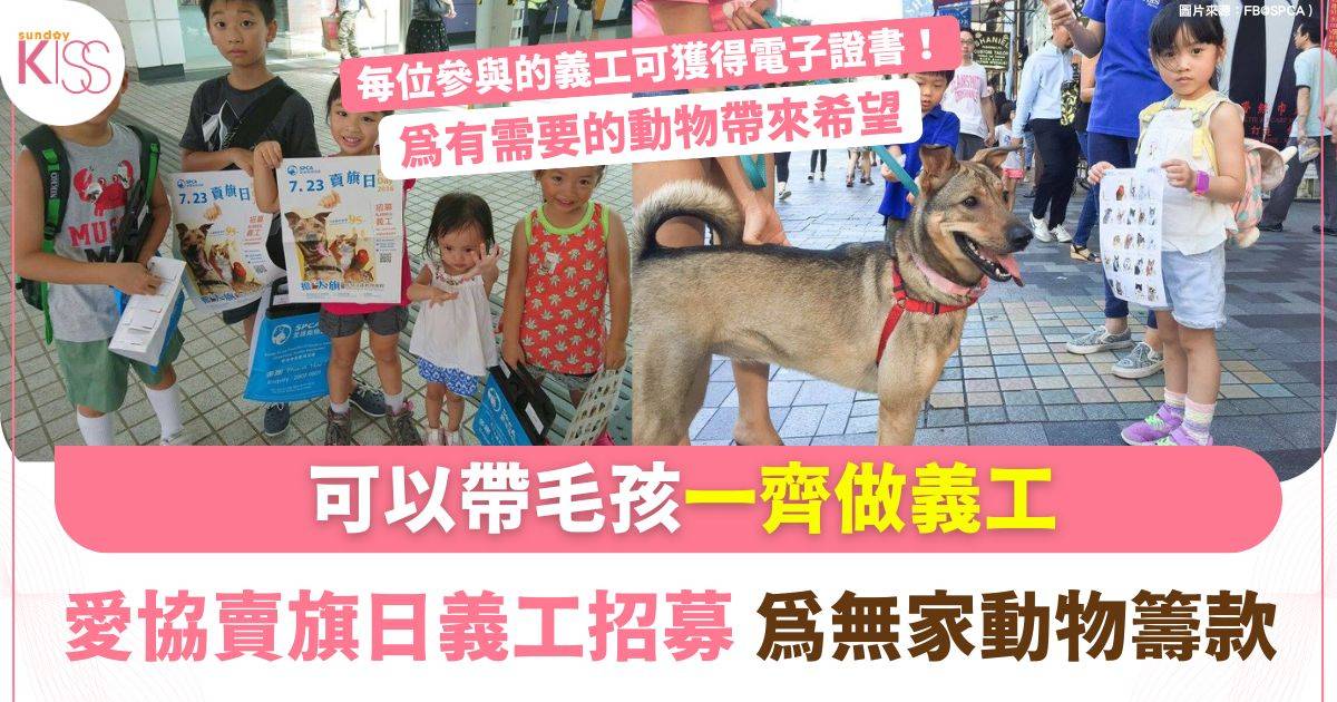 香港愛護動物協會招募7000名賣旗義工　7月18日全城為動物發聲