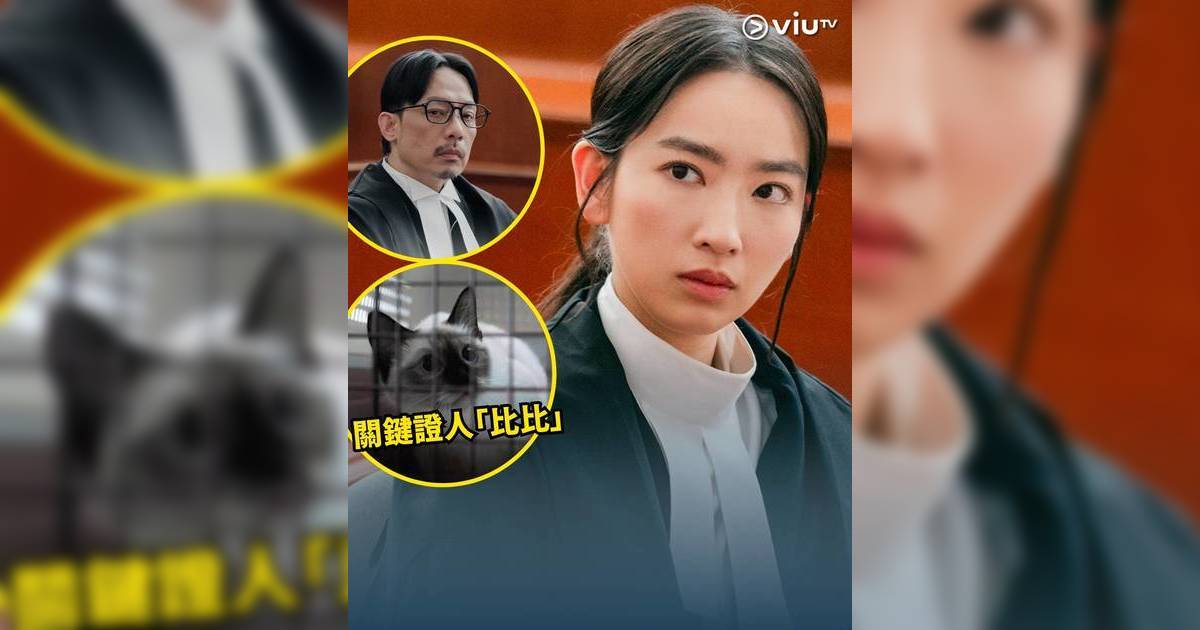 COURT!｜林愷鈴霸氣登場絕地反擊 強尼神還原《毒舌》子華獲激讚