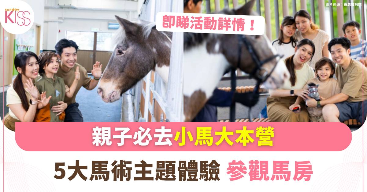 小馬大本營 |5大馬術主題體驗＋小馬策騎＋參觀馬房