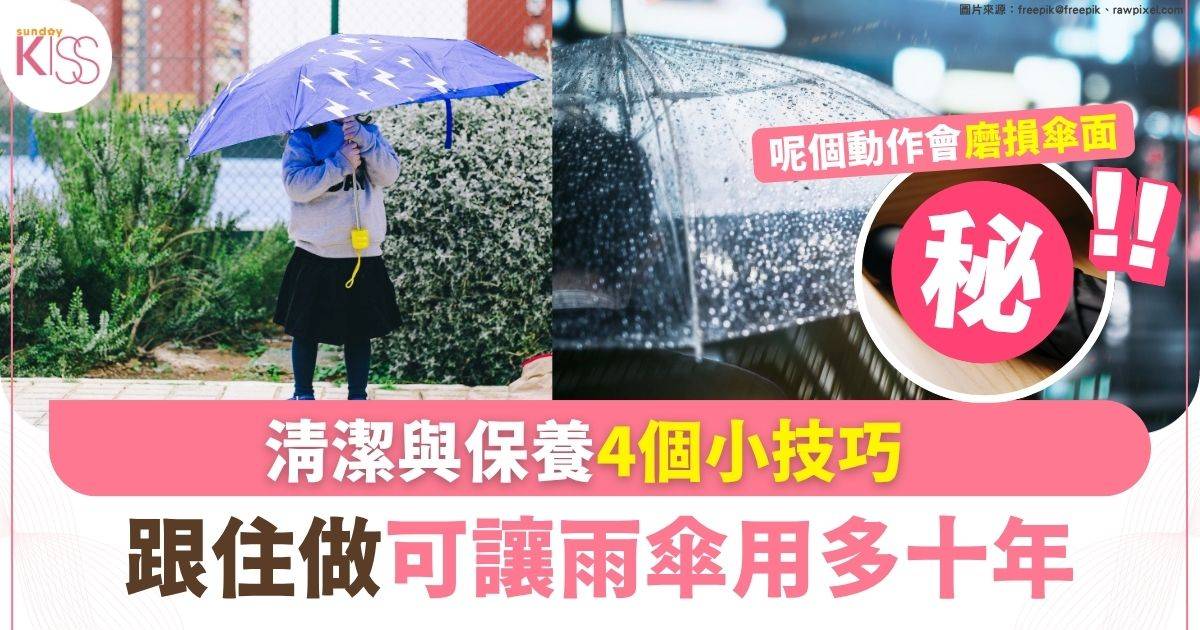 雨季來臨！4個清潔與保養小技巧 讓雨傘用多十年