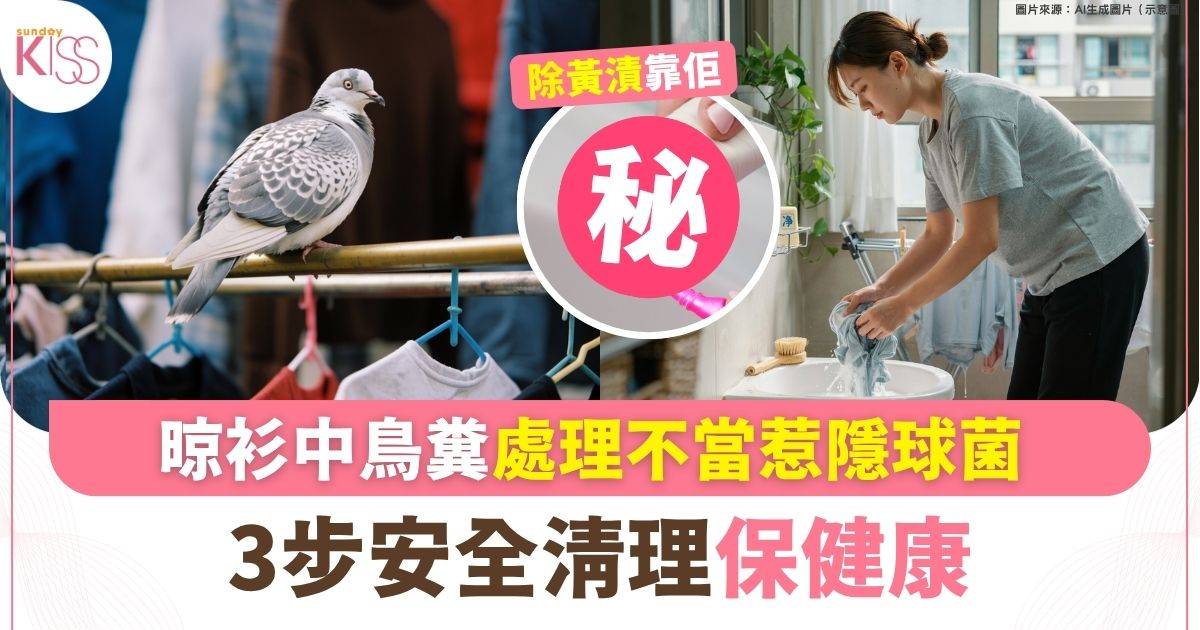 家事達人｜晾衫中鳥糞 處理不當惹隱球菌 3步安全清理保健康