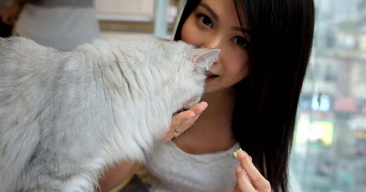36歲陳渃晴展現人妻誘惑 高衩泳裝驚現「不科學Body」