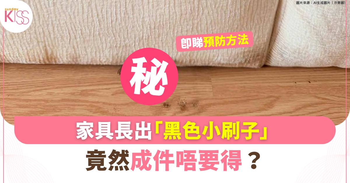 唔係發霉咁簡單！家具長出「黑色小刷子」 最後竟然要成件掉？