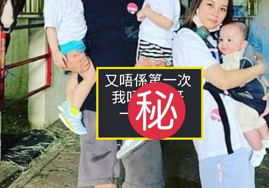 雯雯連環發文驚爆一家六口陷絕境 13字暗諷張致恒本性難移再惹禍