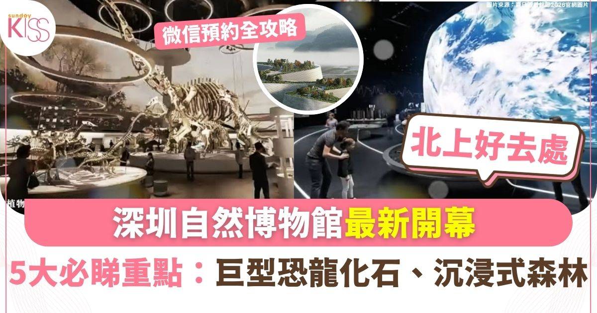 深圳自然博物館最新開幕 極震撼恐龍化石/沉浸式森林生態