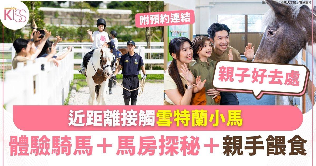 「小馬大本營」近距離接觸可愛小馬 親手餵食/體驗騎馬/馬房探秘