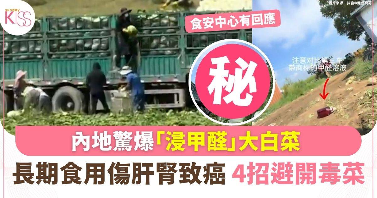 內地驚爆「浸甲醛」大白菜 長期食用傷肝腎致癌 4招避開毒菜