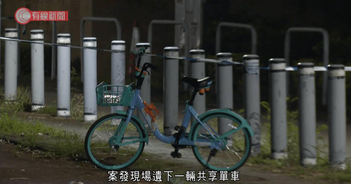 元朗27歲單車女疑被3狗咬斃 被狗追1行為反刺激捕獵本能 訓犬師教護頭頸動作保命