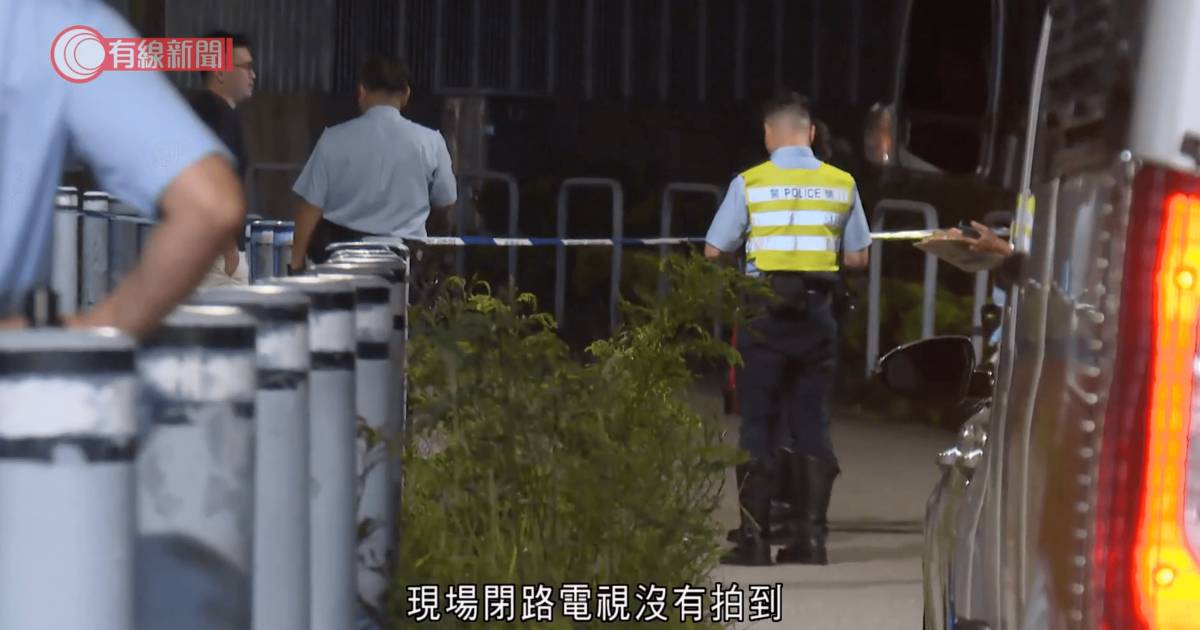 元朗27歲女踩單車回家被3狗咬斃 近50分鐘CCTV畫面成關鍵 警交代最新案情