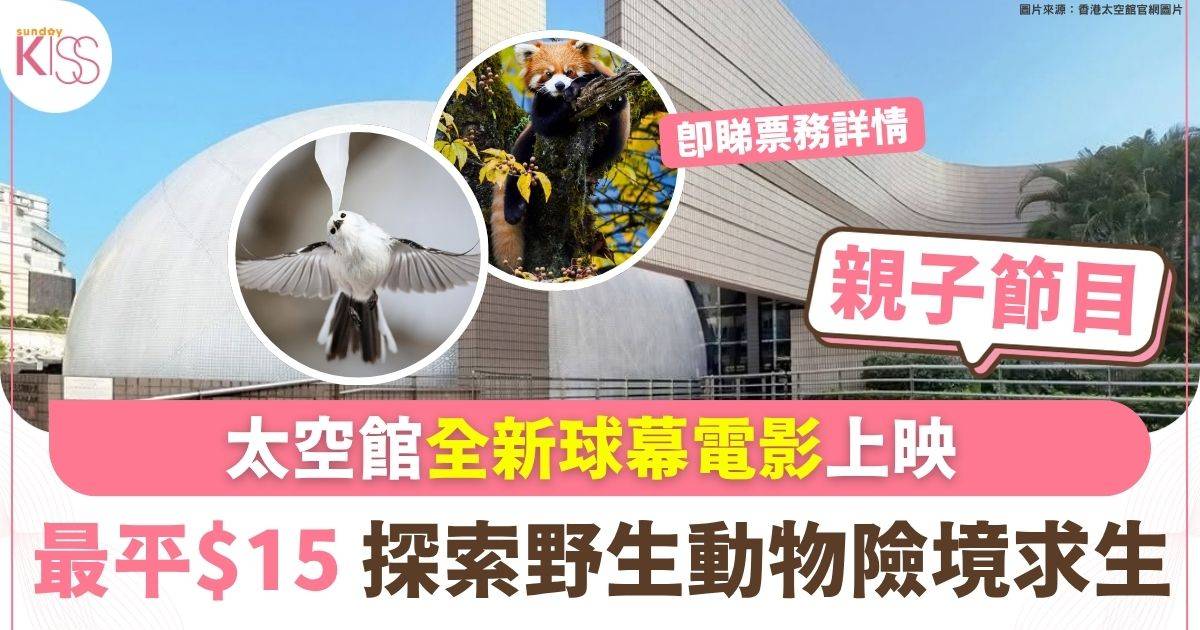 太空館最新球幕電影上映 探索野生動物險境求生