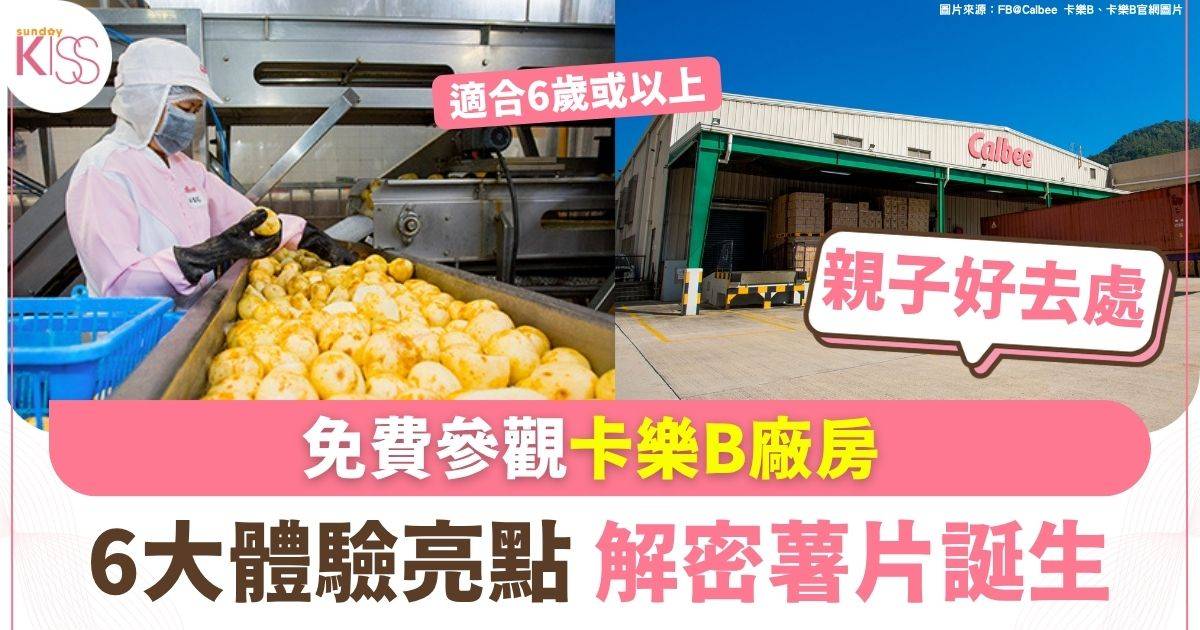 免費參觀卡樂B廠房 6大體驗亮點解密薯片誕生